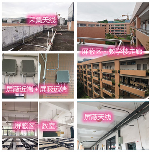  芦淞某中学考场屏蔽案例（数字信令级）